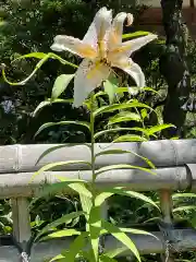 青龍山 吉祥寺の自然