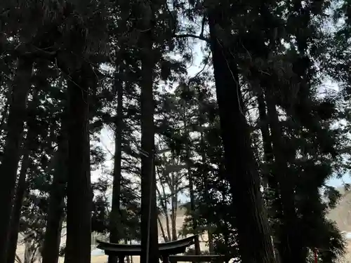 大宮温泉神社(栃木県)