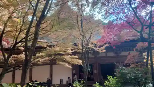 金剛輪寺(滋賀県)