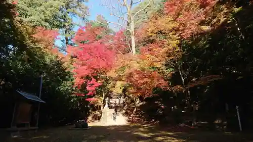 諏訪神社の景色