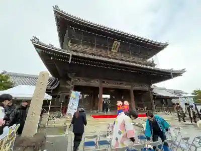 大通寺（長浜御坊）の{uncategorized: "未分類", other: "その他", undefined: "問題あり", building: "その他建物", grave: "お墓", sacred_gate: "鳥居", guardian: "狛犬", statue: "像", buddha: "仏像", history: "歴史", nature: "自然", garden: "庭園", animal: "動物", pagoda: "塔", temizu: "手水舎", mountain_gate: "山門・神門", sanctuary: "本殿・本堂", subordinate: "末社・摂社", art: "芸術", scenery: "景色", jizo: "地蔵", ema: "絵馬", goshuin: "御朱印", omikuji: "おみくじ", items: "授与品その他", amulet: "お守り", goshuincho: "御朱印帳", eats: "食事", festival: "お祭り", votive_dance: "神楽", shichigosan: "七五三参", wedding: "結婚式", experience: "体験その他", initially: "初詣", around: "周辺", anti_infection: "感染症対策"}