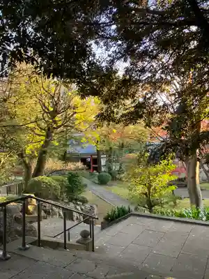 長仙寺(東京都)