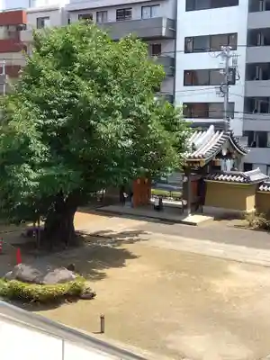 霊雲寺の山門・神門