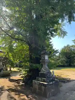 七所宮(熊本県)