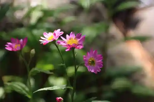御嶽山神社の自然