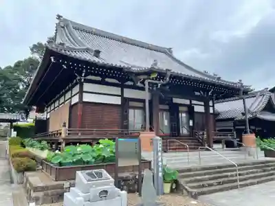 善導寺の本殿・本堂