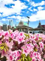 築地本願寺(本願寺築地別院)の自然