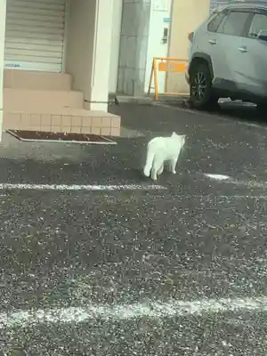味鏡山 護國院(愛知県)