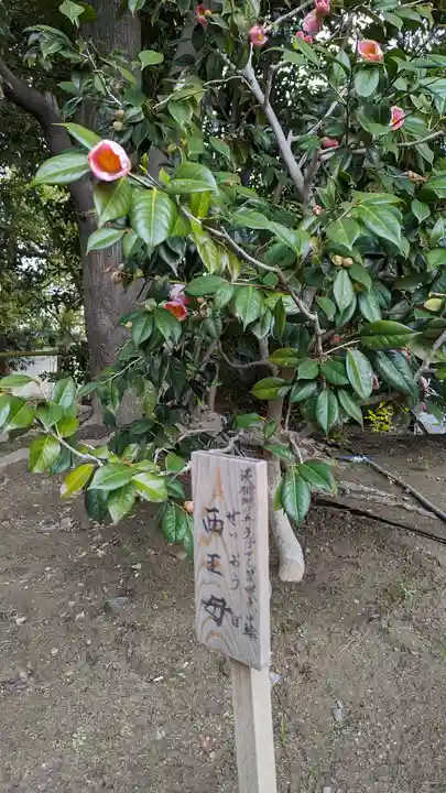 城南宮(京都府)