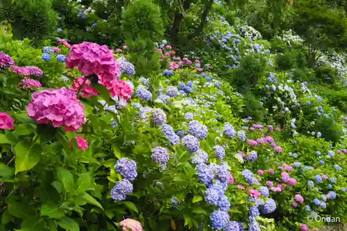 善峯寺(京都府)