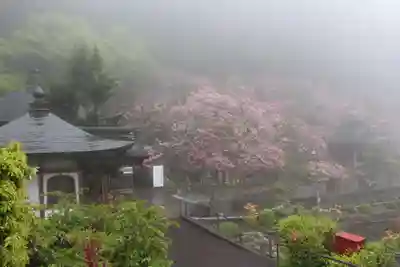 横峰寺のその他建物