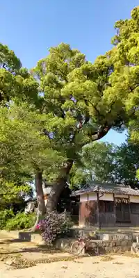 常磐神社(京都府)