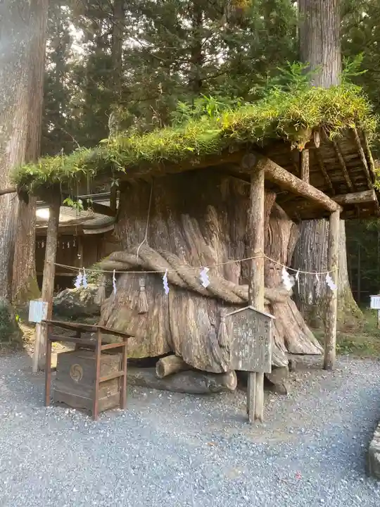 小國神社(静岡県)