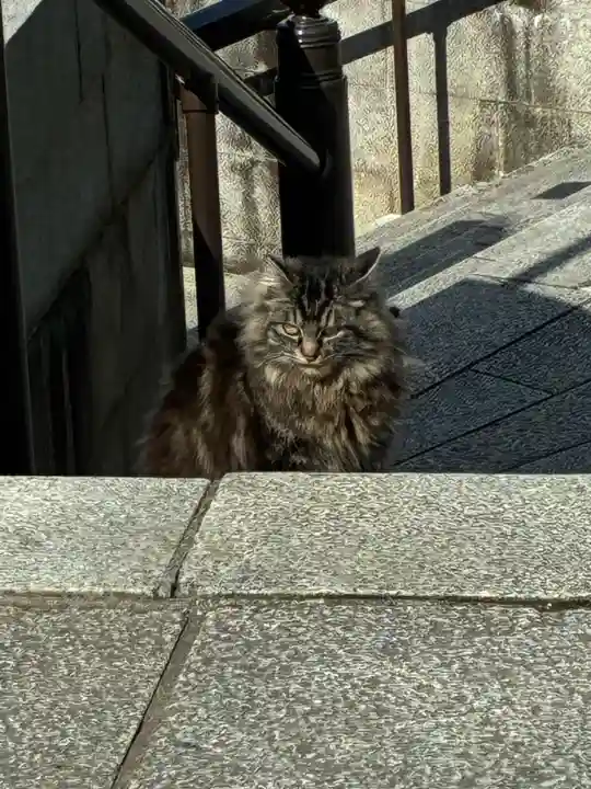 成田山新勝寺の{uncategorized: "未分類", other: "その他", undefined: "問題あり", building: "その他建物", grave: "お墓", sacred_gate: "鳥居", guardian: "狛犬", statue: "像", buddha: "仏像", history: "歴史", nature: "自然", garden: "庭園", animal: "動物", pagoda: "塔", temizu: "手水舎", mountain_gate: "山門・神門", sanctuary: "本殿・本堂", subordinate: "末社・摂社", art: "芸術", scenery: "景色", jizo: "地蔵", ema: "絵馬", goshuin: "御朱印", omikuji: "おみくじ", items: "授与品その他", amulet: "お守り", goshuincho: "御朱印帳", eats: "食事", festival: "お祭り", votive_dance: "神楽", shichigosan: "七五三参", wedding: "結婚式", experience: "体験その他", initially: "初詣", around: "周辺", anti_infection: "感染症対策"}