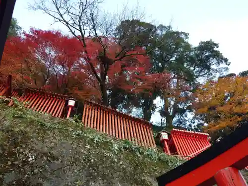太皷谷稲成神社(島根県)