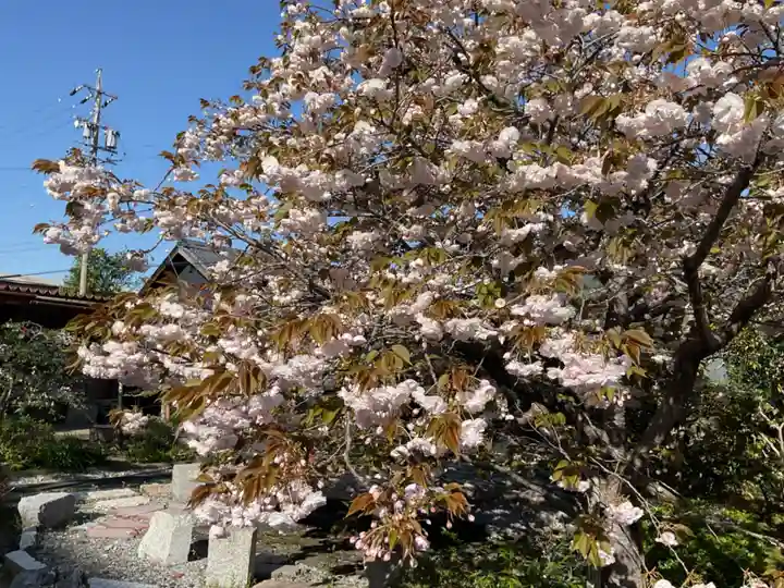 浄徳寺(岐阜県)
