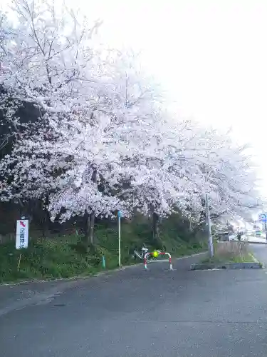 足高神社の自然