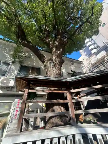 鳥越神社(東京都)