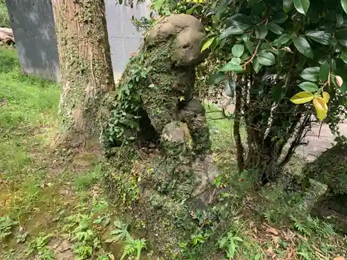 浅間神社の狛犬