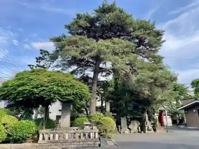 理性寺(東京都)