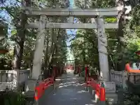 馬橋稲荷神社(東京都)