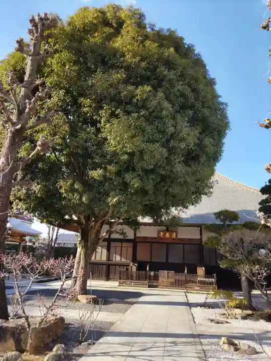 清泰寺の本殿・本堂