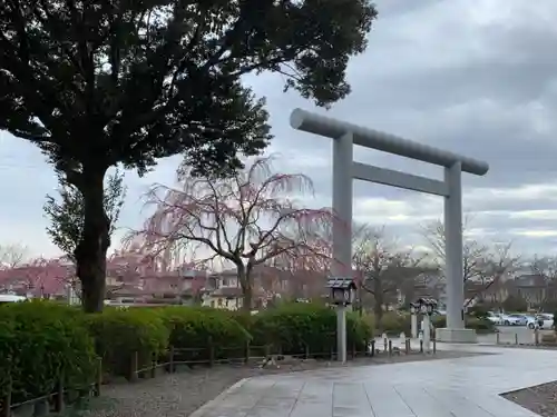 櫻木神社の鳥居