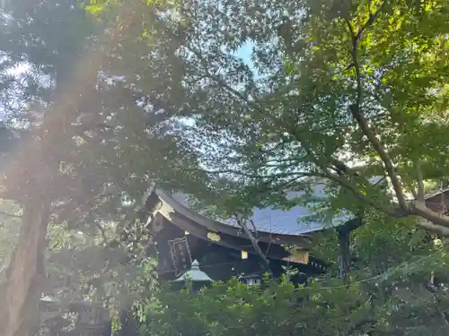 愛宕神社(東京都)