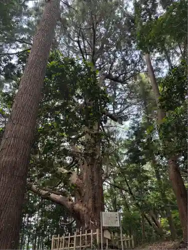 武生神社(茨城県)