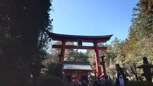 北口本宮冨士浅間神社の鳥居