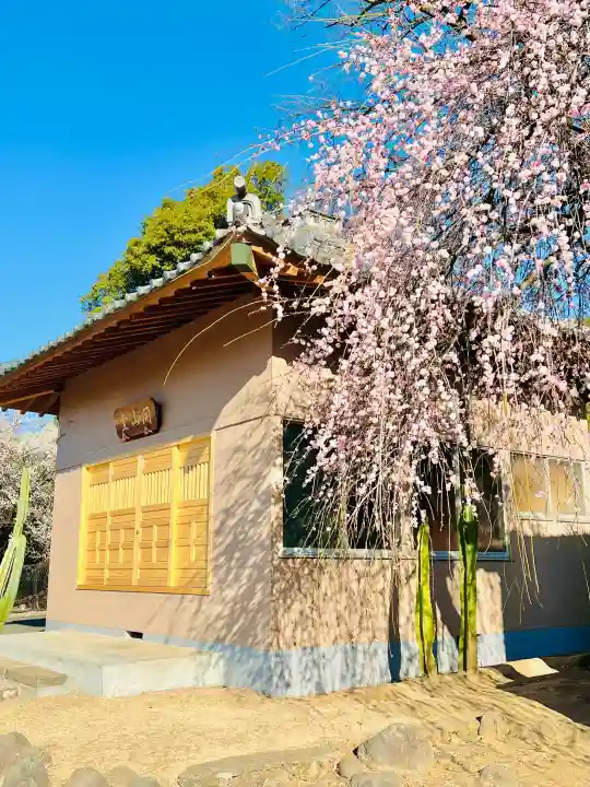 慈恩寺の{uncategorized: "未分類", other: "その他", undefined: "問題あり", building: "その他建物", grave: "お墓", sacred_gate: "鳥居", guardian: "狛犬", statue: "像", buddha: "仏像", history: "歴史", nature: "自然", garden: "庭園", animal: "動物", pagoda: "塔", temizu: "手水舎", mountain_gate: "山門・神門", sanctuary: "本殿・本堂", subordinate: "末社・摂社", art: "芸術", scenery: "景色", jizo: "地蔵", ema: "絵馬", goshuin: "御朱印", omikuji: "おみくじ", items: "授与品その他", amulet: "お守り", goshuincho: "御朱印帳", eats: "食事", festival: "お祭り", votive_dance: "神楽", shichigosan: "七五三参", wedding: "結婚式", experience: "体験その他", initially: "初詣", around: "周辺", anti_infection: "感染症対策"}