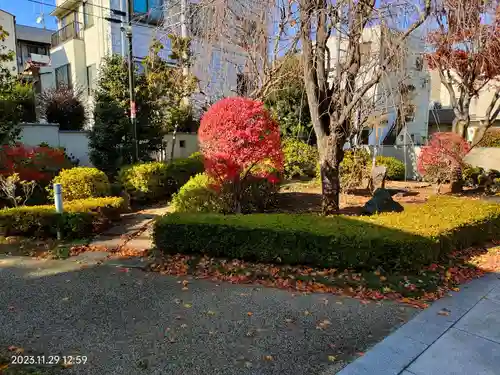 圓龍寺(東京都)