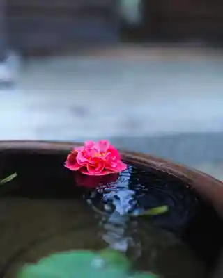 浄土寺(兵庫県)