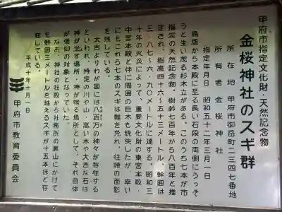 金櫻神社(山梨県)