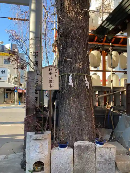 波除神社(波除稲荷神社)(東京都)