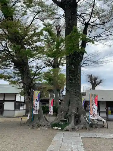八枝神社(埼玉県)