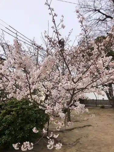 舞子六神社／まいこむの宮の自然