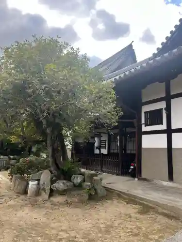 天寧寺の{uncategorized: "未分類", other: "その他", undefined: "問題あり", building: "その他建物", grave: "お墓", sacred_gate: "鳥居", guardian: "狛犬", statue: "像", buddha: "仏像", history: "歴史", nature: "自然", garden: "庭園", animal: "動物", pagoda: "塔", temizu: "手水舎", mountain_gate: "山門・神門", sanctuary: "本殿・本堂", subordinate: "末社・摂社", art: "芸術", scenery: "景色", jizo: "地蔵", ema: "絵馬", goshuin: "御朱印", omikuji: "おみくじ", items: "授与品その他", amulet: "お守り", goshuincho: "御朱印帳", eats: "食事", festival: "お祭り", votive_dance: "神楽", shichigosan: "七五三参", wedding: "結婚式", experience: "体験その他", initially: "初詣", around: "周辺", anti_infection: "感染症対策"}