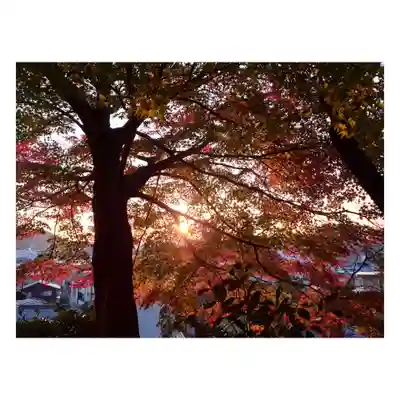 岐阜稲荷山本社(岐阜県)