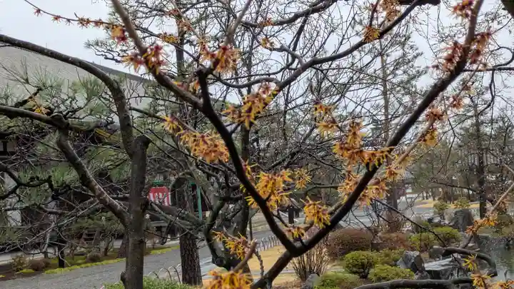 蓮華王院(三十三間堂)(京都府)