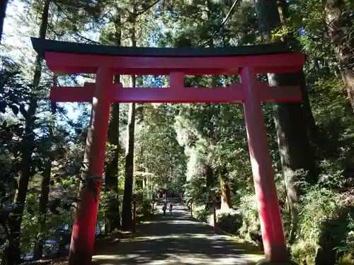 箱根神社の鳥居