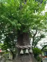 矢村神社の自然