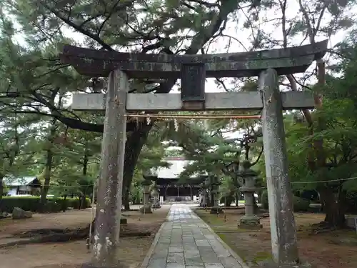 篠山神社の鳥居