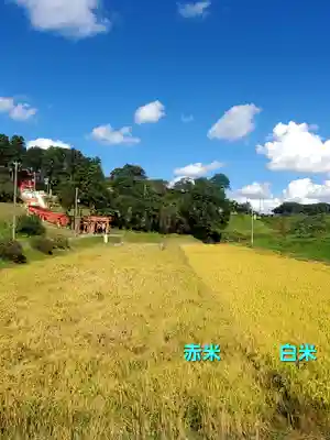 高屋敷稲荷神社(福島県)