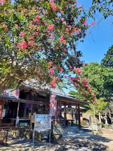 賀茂別雷神社(栃木県)