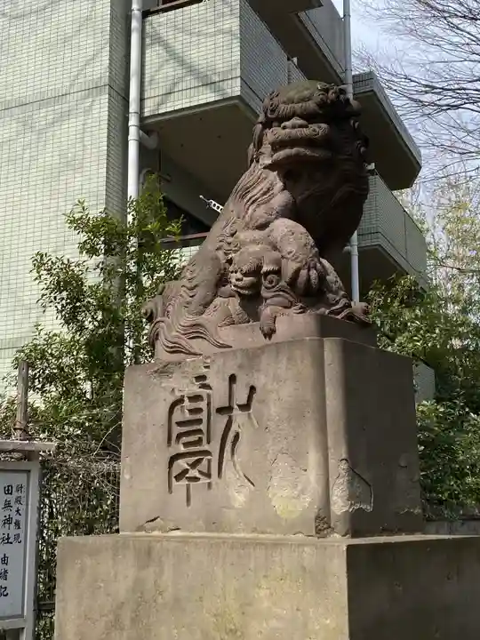 田無神社の狛犬