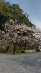 相馬中村神社の自然