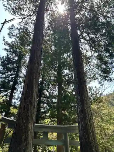 九頭龍神社(東京都)