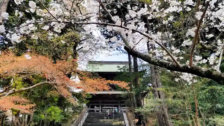 円覚寺(神奈川県)
