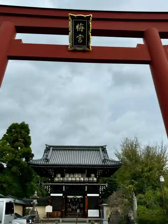 梅宮大社(京都府)